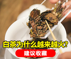 广告